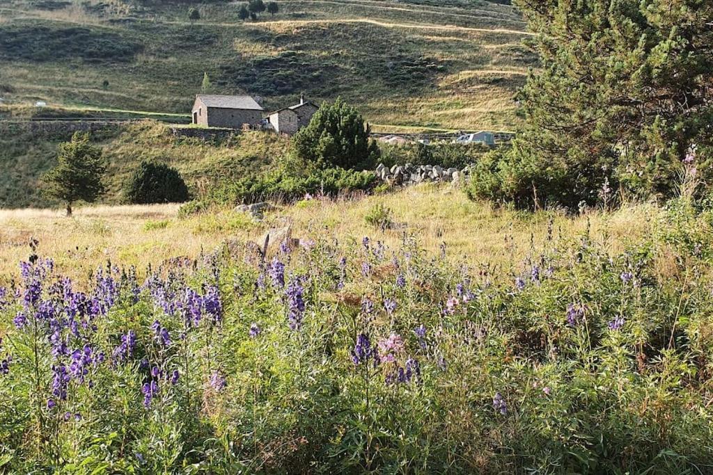 Acollidor Estudi Amb Encant Nordic I Amb Parquing, Al Costat De Grandvalira Κανίγιο Εξωτερικό φωτογραφία